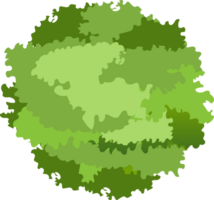 bomen top visie. png