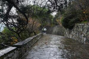 road paved with natural stone among rocks in an ancient seaside landscape garden photo