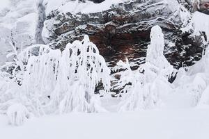 winter landscape - bizarre rock and trees on the mountain plateau are covered with deep snow photo