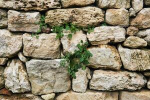 fragment of an ancient wall with vegetation breaking through the cracks photo