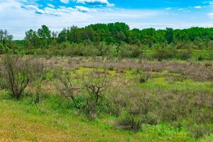 forest-steppe landscape in the Caspian coast in Dagestan photo