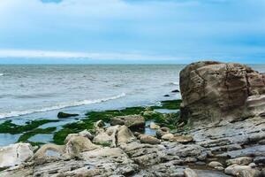 coast of the Caspian Sea with coastal rocks and stones covered with algae photo