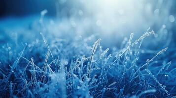 AI generated Frosty nature background. Winter landscape with frozen grass in blue toned. photo