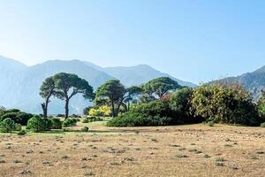 tropical seaside landscape near Cirali village in Turkey photo