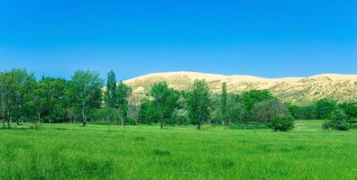 natural landscape with a huge sand dune Sarykum in the background photo