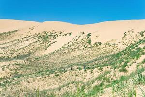 turista ruta mediante el protegido Desierto paisaje sarykum, daguestán foto