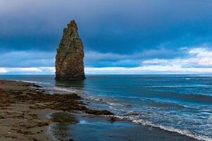 seascape of Kunashir, ocean shore with a huge vertical rock in the water and a wild beach with algae thrown out by the sea photo