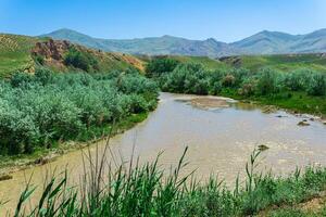 foothills landscape with a muddy and full-flowing river photo