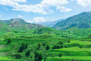 mountain valley panorama with green agricultural terraces on the slopes and snowy peaks in the distance photo