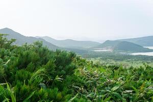 natural landscape of Kunashir island, view of the Golovnin volcano caldera with hot lake, focus on nearby plants photo