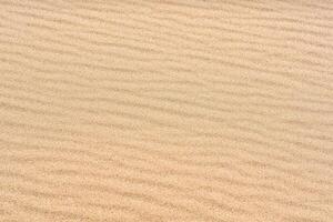 wind ripples on the sandy surface in the desert photo