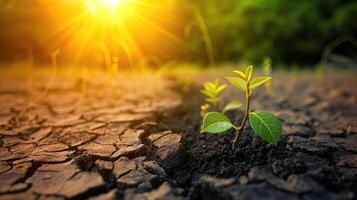 AI generated Climate change from drought to green growth photo