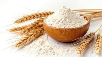 AI generated Wheat flour in bowl and spikelets isolated on white photo