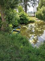 Green landscape with an old boat near the shore and green water lily leaves on the water photo