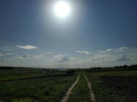 un camino en un verde campo debajo un caliente verano Dom en un claro cielo foto