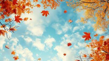 AI generated Autumn landscape. Autumn tree leaves sky background. photo