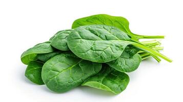 AI generated Spinach on isolated white background. photo