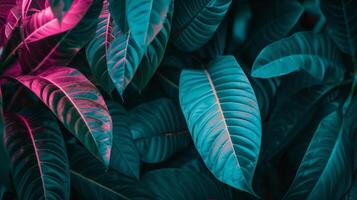 AI generated Tropical leaves background with neon light photo