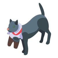 Cat pet costume icon isometric vector. Festive young vector