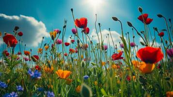 AI generated Sunny spring field Vibrant flowers under the sun photo