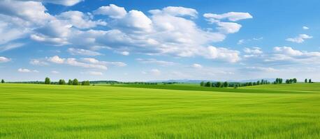 Green field and blue sky with white clouds. Panoramic view. photo
