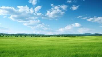 Green rice field and blue sky with white clouds, Nature background. photo