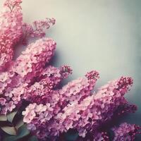 AI generated Lilac flowers banner with copy space. Beautiful natural floral background photo