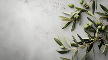 AI generated Wild olive branches on gray background. Copy space photo