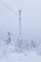 hielo célula teléfono torre terminado Nevado bosque en parte superior de montaña en contra invierno cielo foto