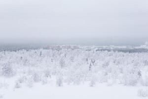 escarchado invierno paisaje - un distante pueblo en un Valle en el medio de Nevado bosques en un escarchado calina foto