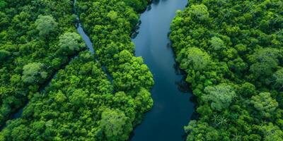 AI generated The resilience of nature in the face of environmental challenges. The regenerative power of ecosystems, emphasizing the importance of protecting and restoring our planet photo