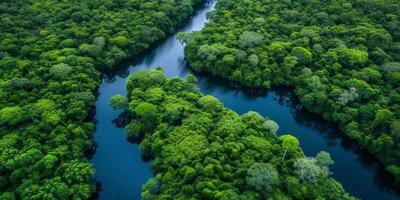 AI generated The resilience of nature in the face of environmental challenges. The regenerative power of ecosystems, emphasizing the importance of protecting and restoring our planet photo