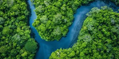 AI generated The resilience of nature in the face of environmental challenges. The regenerative power of ecosystems, emphasizing the importance of protecting and restoring our planet photo