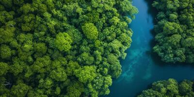 AI generated The resilience of nature in the face of environmental challenges. The regenerative power of ecosystems, emphasizing the importance of protecting and restoring our planet photo