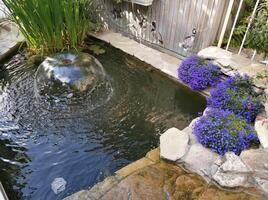 Cute decorative fountain and flower bed with blue flowers photo