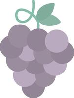 Zinfandel Grapes Flat Light Icon vector