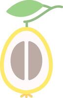 Loquat Flat Light Icon vector