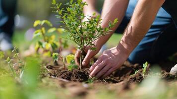 AI generated Community Initiatives Experience the power of community led initiatives that strive to make a difference. Tree planting events are the global mission to protect our environment photo