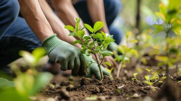 AI generated Community Initiatives Experience the power of community led initiatives that strive to make a difference. Tree planting events are the global mission to protect our environment photo