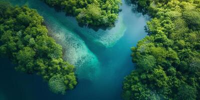 AI generated The resilience of nature in the face of environmental challenges. The regenerative power of ecosystems, emphasizing the importance of protecting and restoring our planet photo