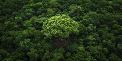 AI generated The resilience of nature in the face of environmental challenges. The regenerative power of ecosystems, emphasizing the importance of protecting and restoring our planet photo