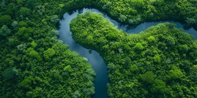 AI generated The resilience of nature in the face of environmental challenges. The regenerative power of ecosystems, emphasizing the importance of protecting and restoring our planet photo