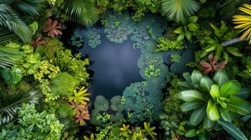 AI generated The rich biodiversity of our planet with striking images of flora. Ecosystems emphasize the importance of preserving the delicate balance of life on Earth photo