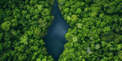 ai generado el Resiliencia de naturaleza en el cara de ambiental retos el regenerador poder de ecosistemas, enfatizando el importancia de proteger y restaurar nuestra planeta foto