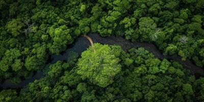 AI generated The resilience of nature in the face of environmental challenges. The regenerative power of ecosystems, emphasizing the importance of protecting and restoring our planet photo