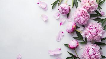 AI generated Many beautiful peonies blossoms on light background with copy space photo