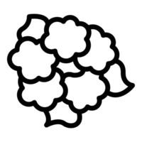 Agriculture cauliflower icon outline vector. Healthy vitamin vector