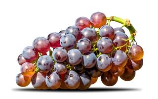 AI generated Ripe grapes with leaves isolated on white background photo