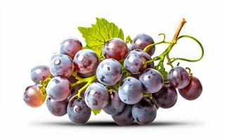 AI generated Ripe grapes with leaves isolated on white background photo