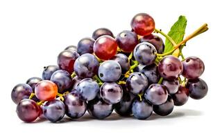 AI generated Ripe grapes with leaves isolated on white background photo